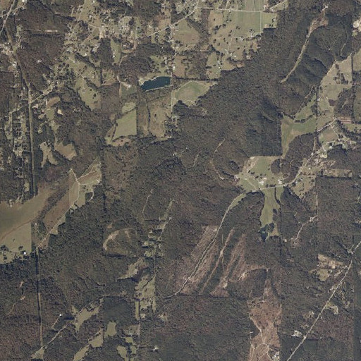 Aerial imagery of Dodds Gap, AL