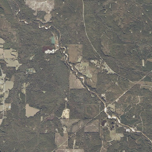 Aerial imagery of Duff Branch, AL