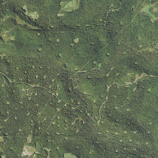Aerial imagery of Irish Run, PA