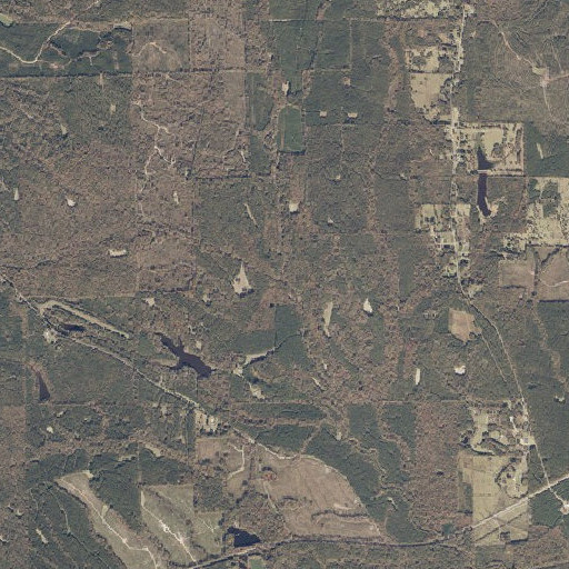 Aerial imagery of Elam Branch, AL