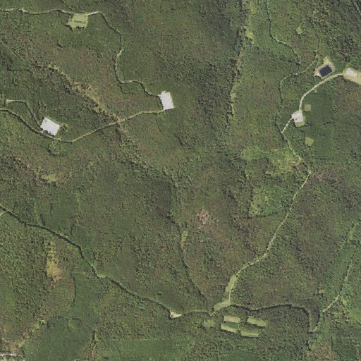 Aerial imagery of Murdock Branch, PA