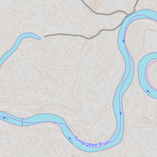 OpenTopoMap map of Flag Lake, AL