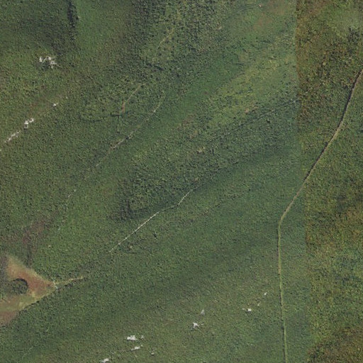 Aerial imagery of Treaster Kettle, PA