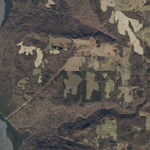 Aerial imagery of Godwin Point, AL