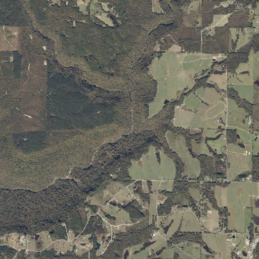 Aerial imagery of Guest Creek, AL