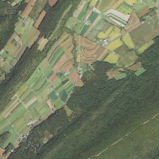 Aerial imagery of Reeds School, PA