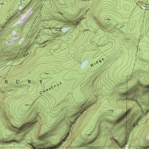 USGS 24K topo map of Chestnut Ridge, PA