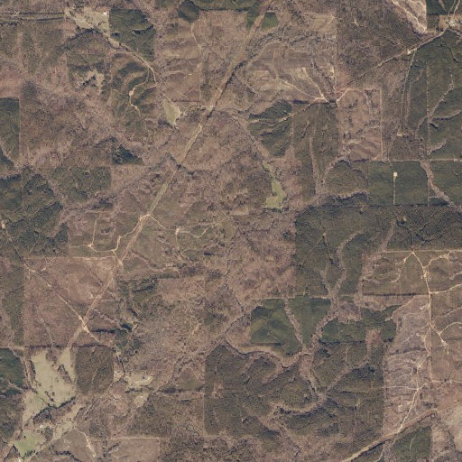 Aerial imagery of Hodges Creek, AL