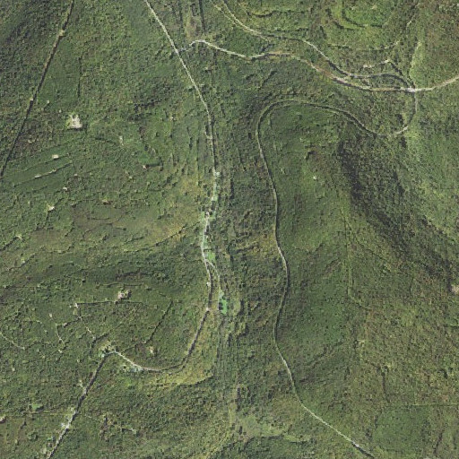 Aerial imagery of Bear Run, PA