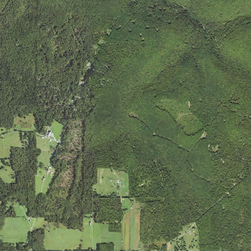 Aerial imagery of English Run, PA