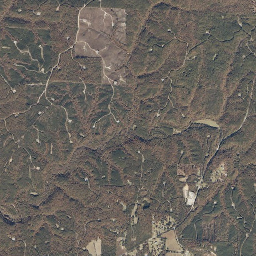 Aerial imagery of Long Creek, AL