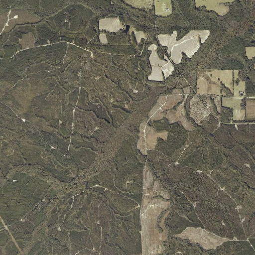Aerial imagery of McKinney Branch, AL