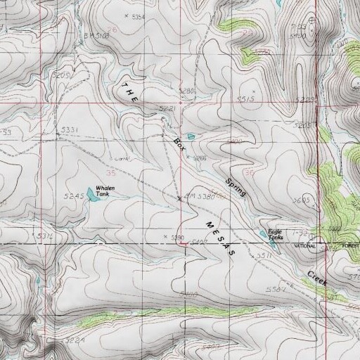 USGS 24K topo map of The Mesas, AZ