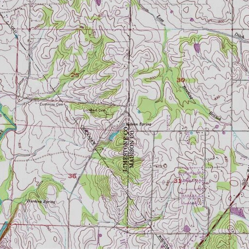 USGS 24K topo map of Nelson Spring, AL
