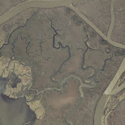 Aerial imagery of Oak Leaf Bayou, AL