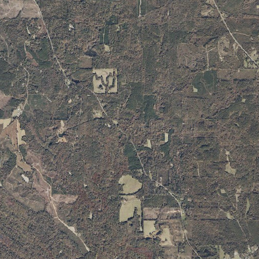 Aerial imagery of Pace Creek, AL
