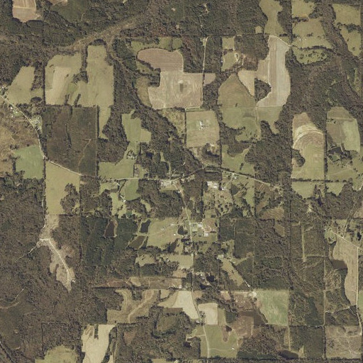Aerial imagery of Pea River School, AL