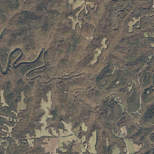 Aerial imagery of Pierce Branch, AL