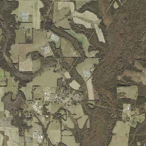 Aerial imagery of Robertson Branch, AL