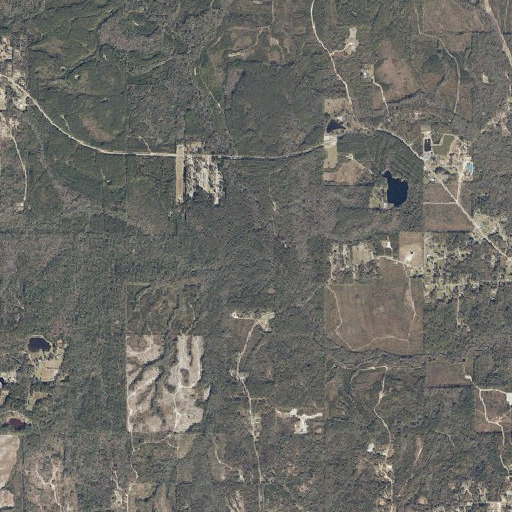 Aerial imagery of Rowell Branch, AL