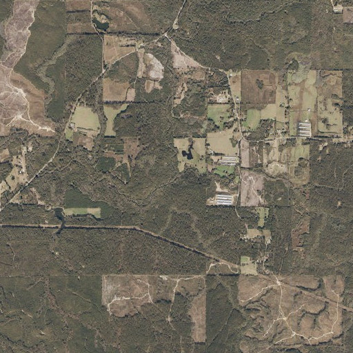 Aerial imagery of Savannah Branch, AL