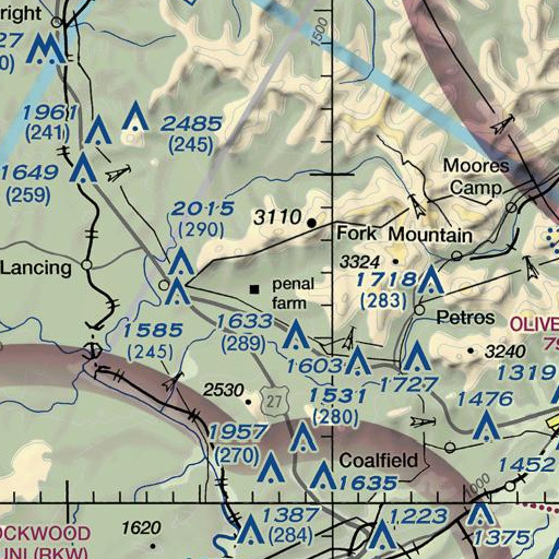 FAA VFR chart of Brasel Branch, TN