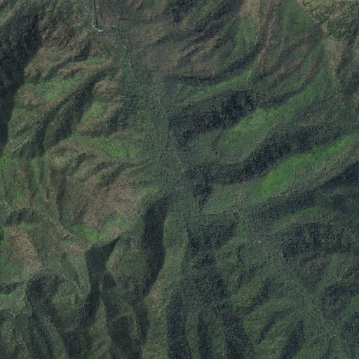 Aerial imagery of Split Branch, TN