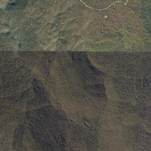 Aerial imagery of Step Point, AL