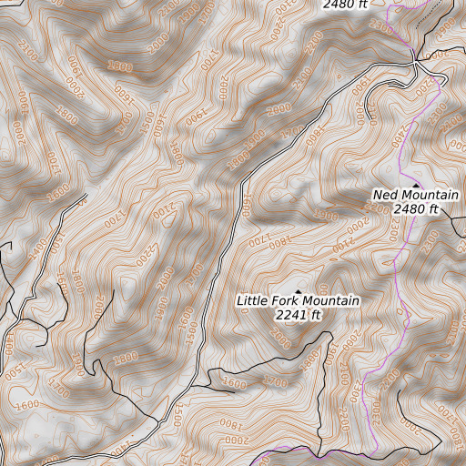 OpenTopoMap map of Wolfpen Branch, TN