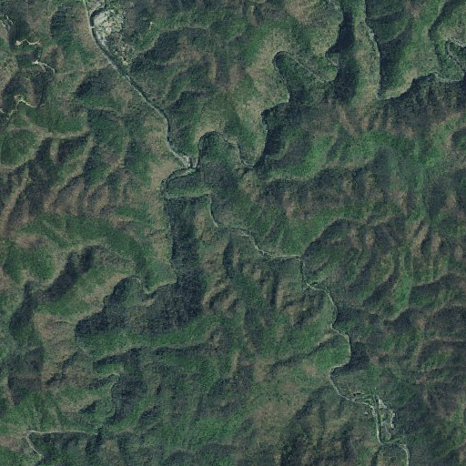 Aerial imagery of Ashley Branch, TN
