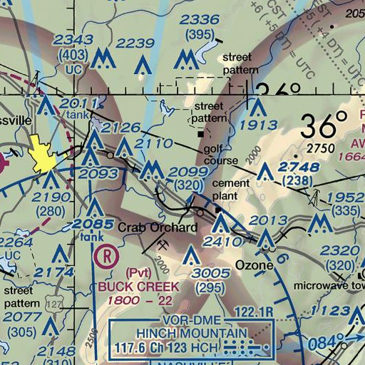 FAA VFR chart of Barnes Branch, TN