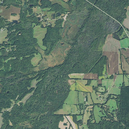 Aerial imagery of Bear Creek, TN