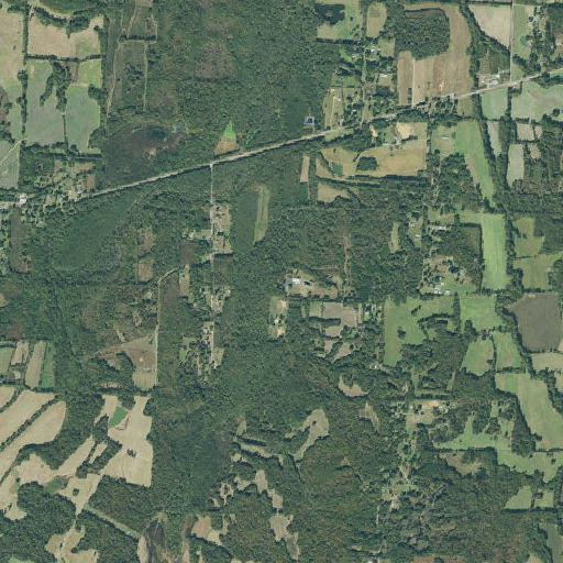 Aerial imagery of Bluff School, TN