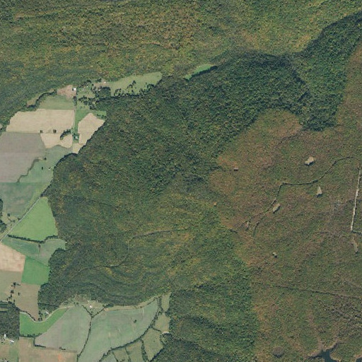 Aerial imagery of Brooks Point, TN