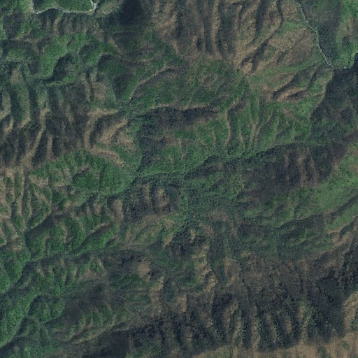 Aerial imagery of Bunch Prong, TN