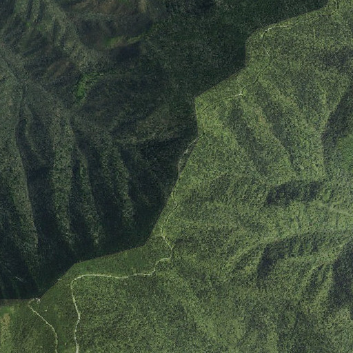 Aerial imagery of Collins Gap, TN