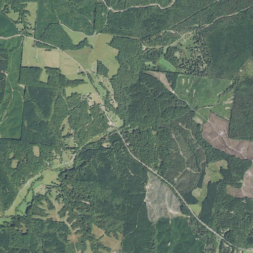 Aerial imagery of Copeland Branch, TN