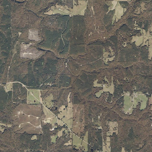Aerial imagery of Twomile Creek, AL
