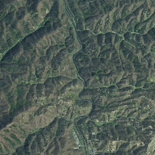 Aerial imagery of Flat Branch, TN