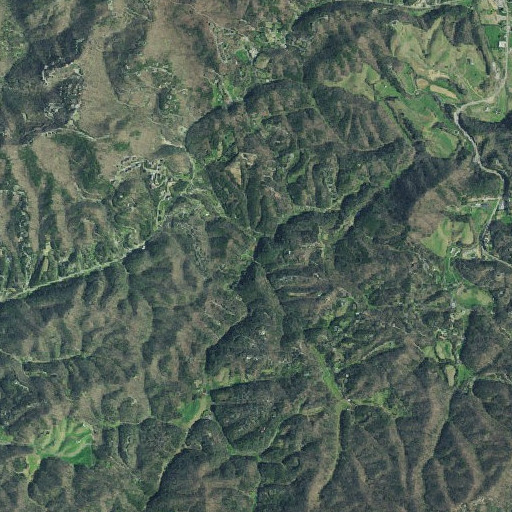 Aerial imagery of Flat Branch, TN