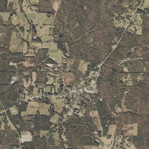 Aerial imagery of Vineyard Branch, AL