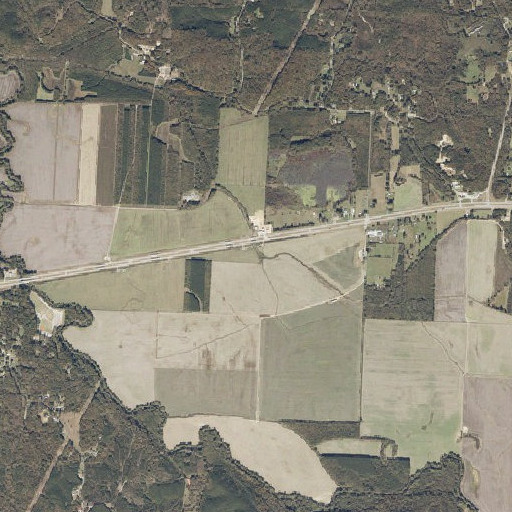 Aerial imagery of Vinson Branch, AL
