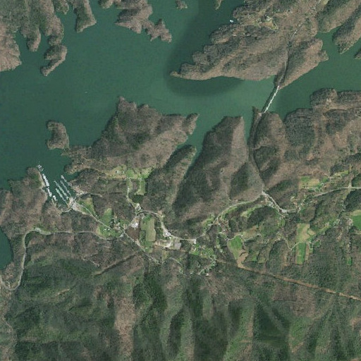 Aerial imagery of Hamby Branch, TN