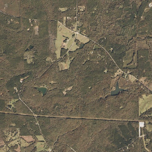 Aerial imagery of Webb Branch, AL