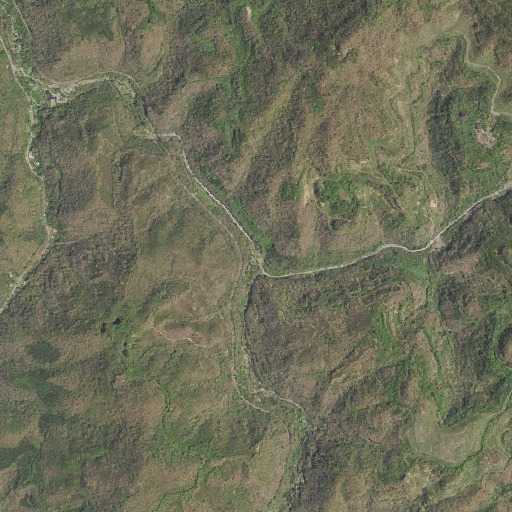Aerial imagery of Hogcamp Branch, TN