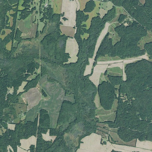 Aerial imagery of Humble Branch, TN