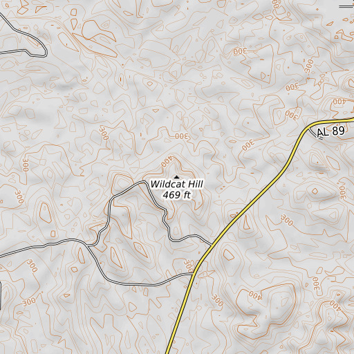 OpenTopoMap map of Wildcat Hill, AL
