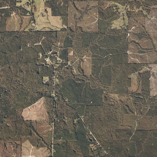 Aerial imagery of Williams Creek, AL