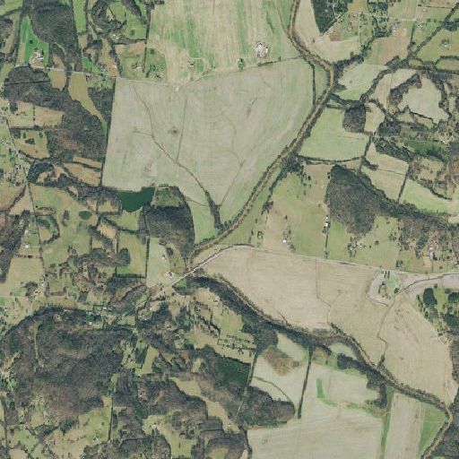 Aerial imagery of King Branch, TN