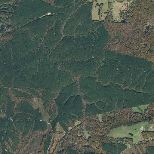 Aerial imagery of King Branch, TN